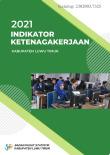 Indikator Ketenagakerjaan Kabupaten Luwu Timur 2021